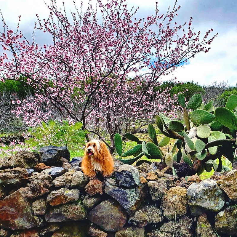 20210207_120026xs-12-8