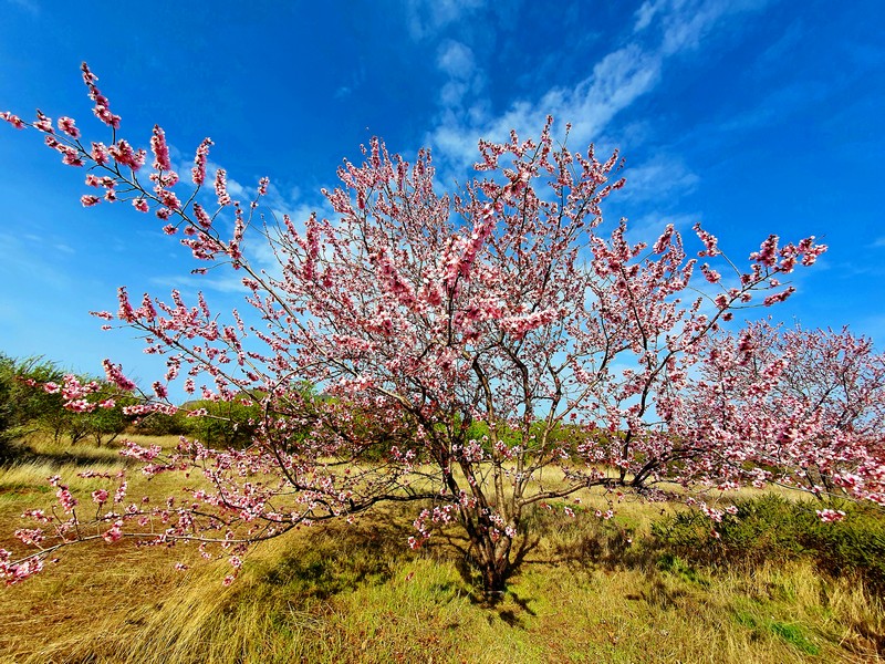 20220210_111957xs-9a