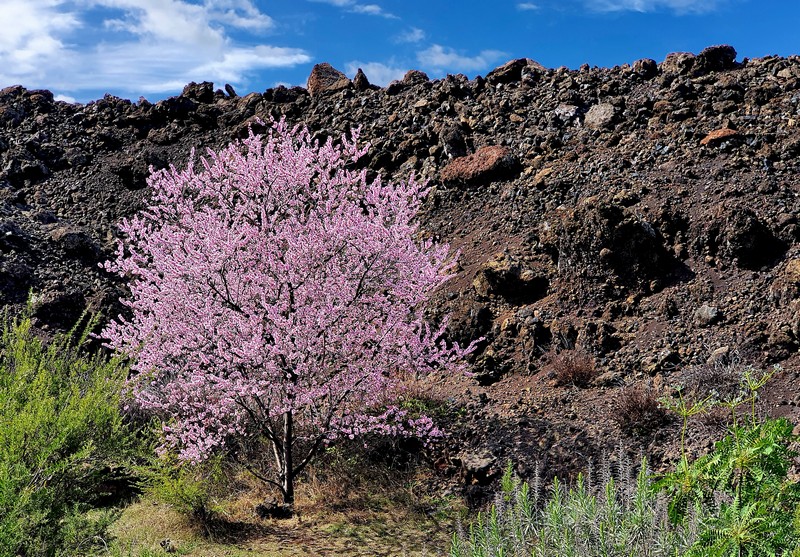 20220210_131716xs-9a