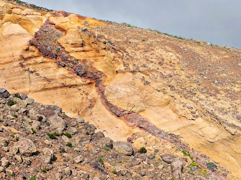 20240104_120153X_pe-8