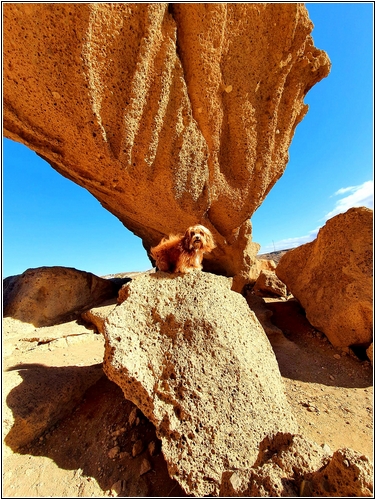 IMG-20211202-WA0026xs-5